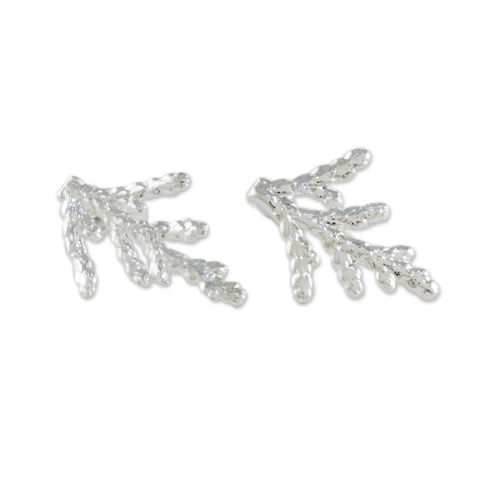 Premium Natural Cypress Leaf Earrings - Sterling Silver Plated, Handcrafted in Thailand