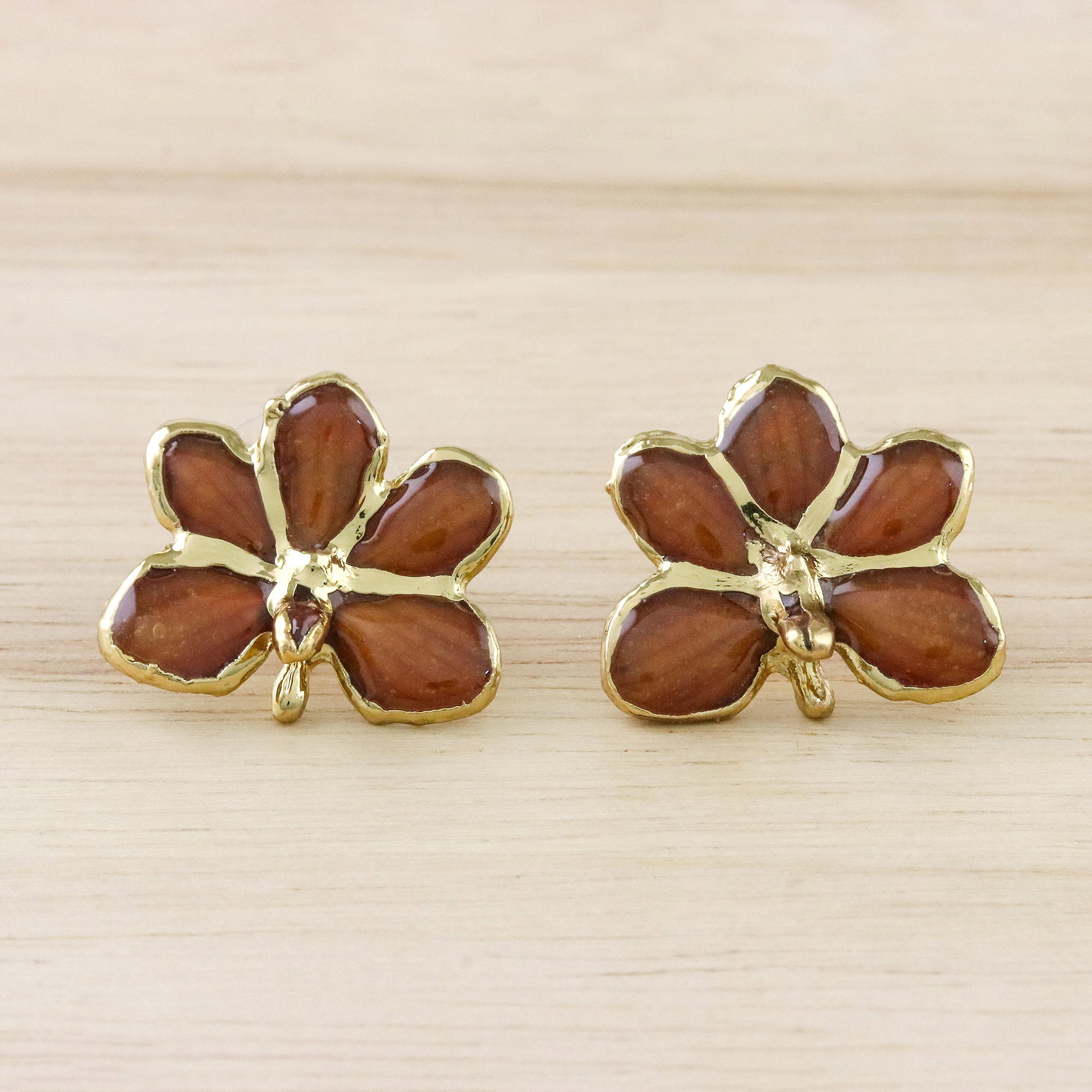 Premium Espresso Radiance Gold-Plated Orchid Earrings