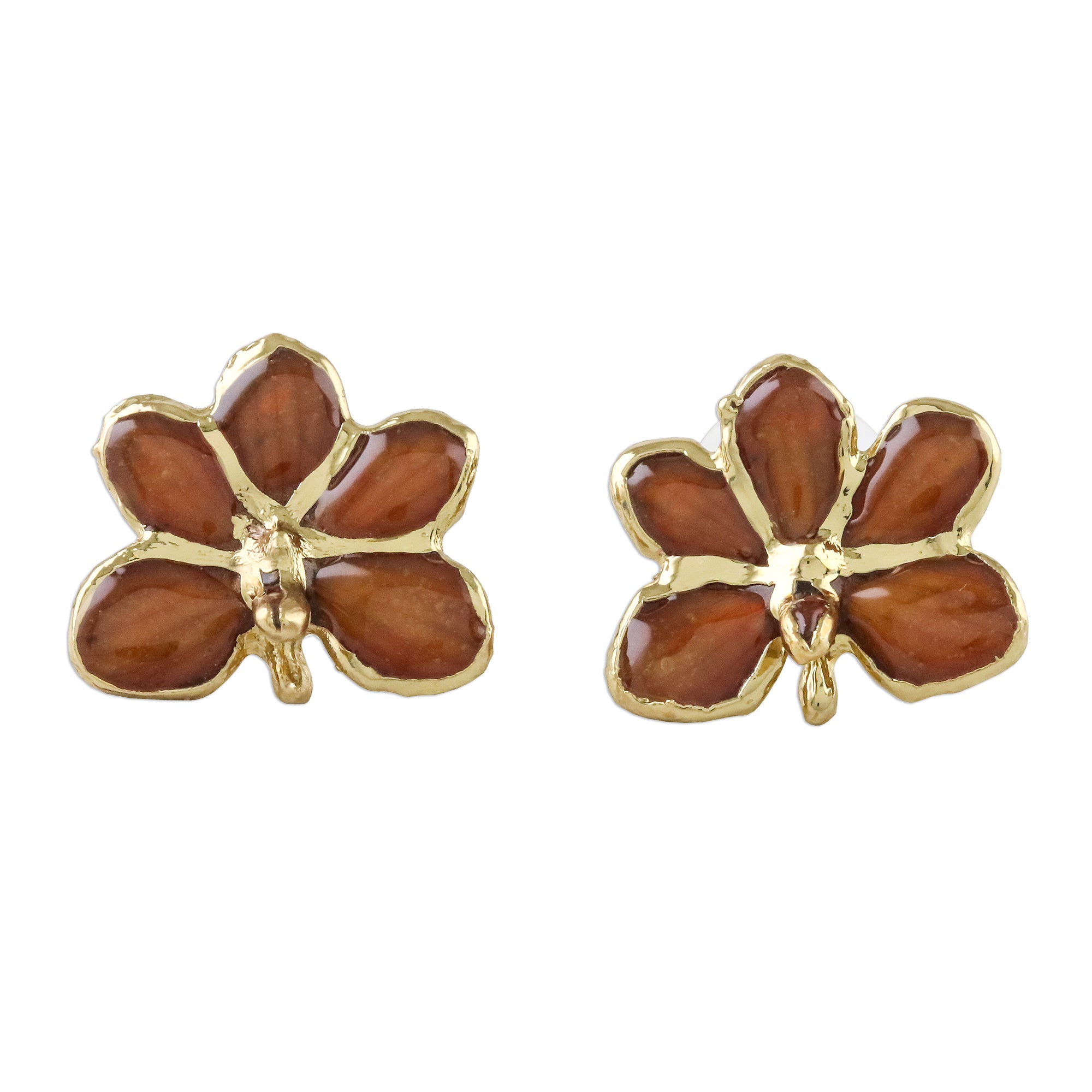 Premium Espresso Radiance Gold-Plated Orchid Earrings