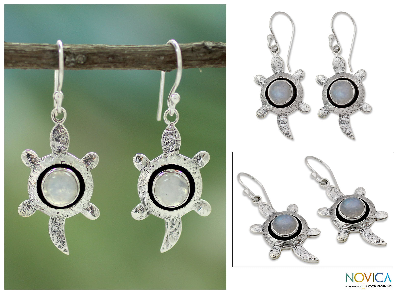 Premium Turtle Wisdom Sterling Silver Moonstone Earrings