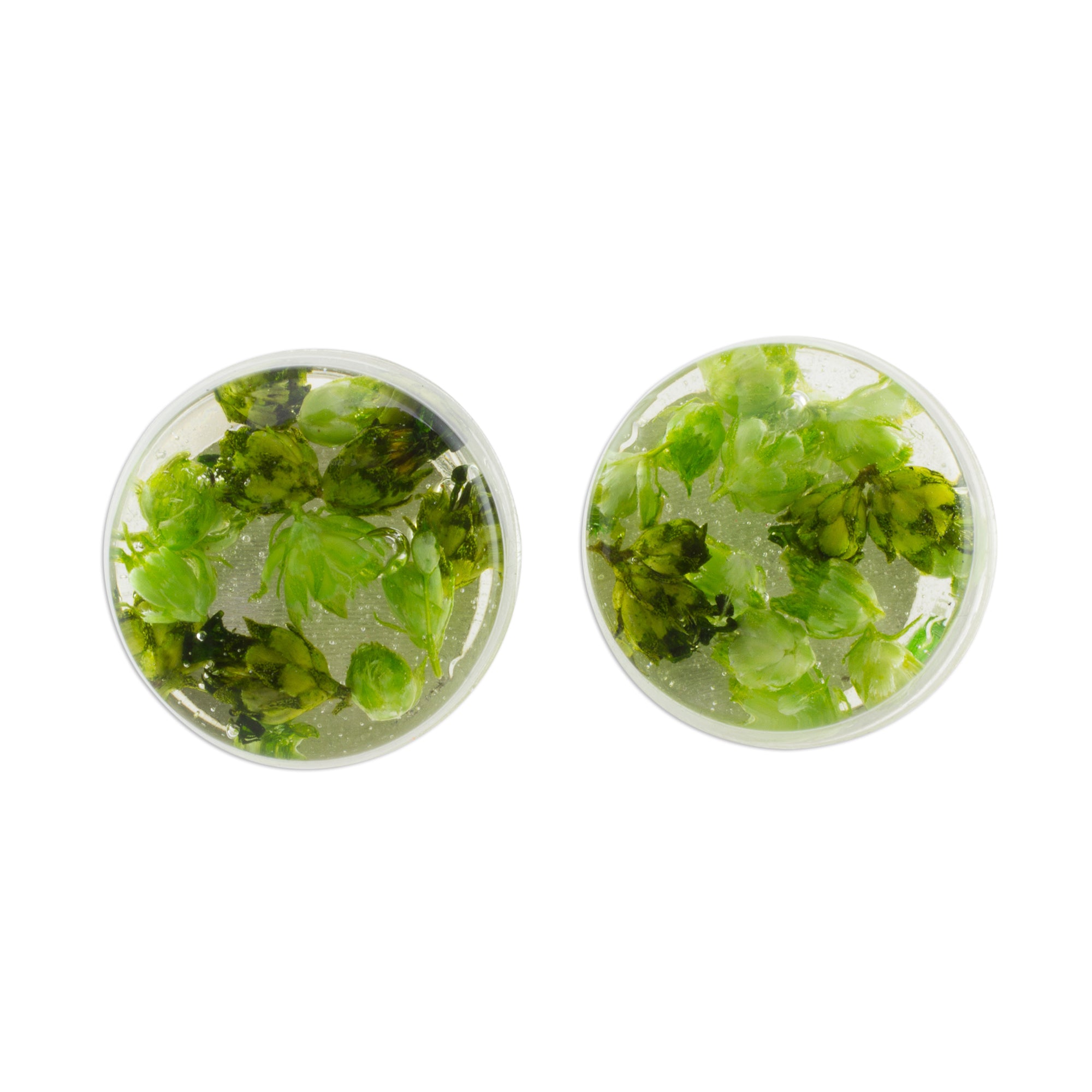 Premium Eternal Green Bouquet Resin Earrings – Handcrafted in Costa Rica