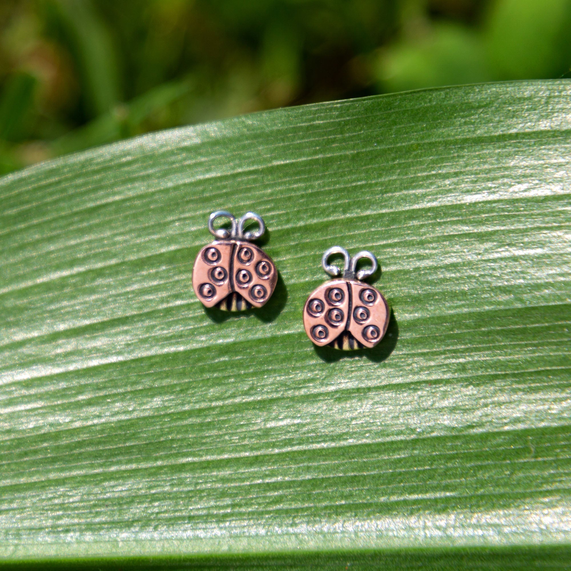 Premium Sweet Ladybug Post Earrings - Fair-Trade Charm