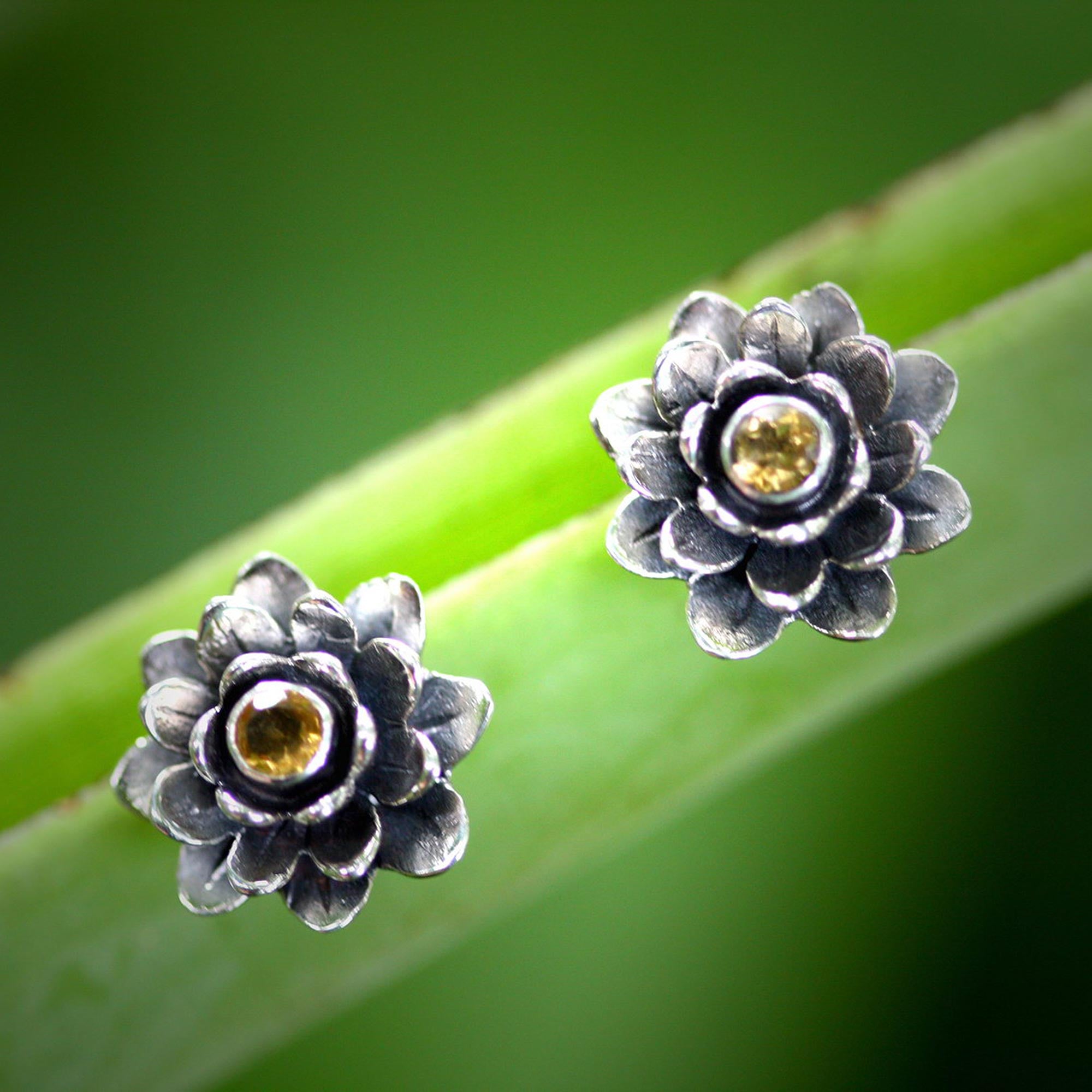 Premium Golden-Eyed Lotus Sterling Silver Earrings