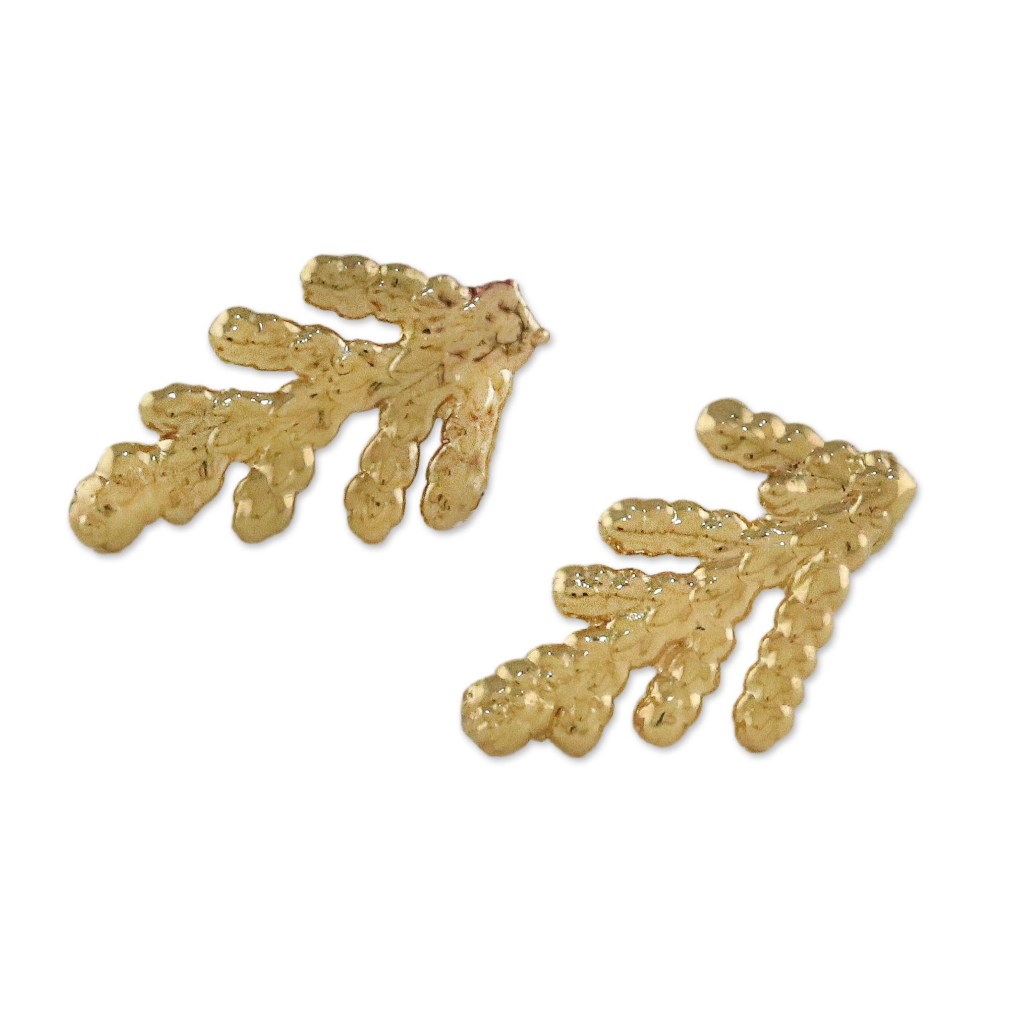 Premium Gold-Plated Cypress Leaf Button Earrings - Natural Elegance