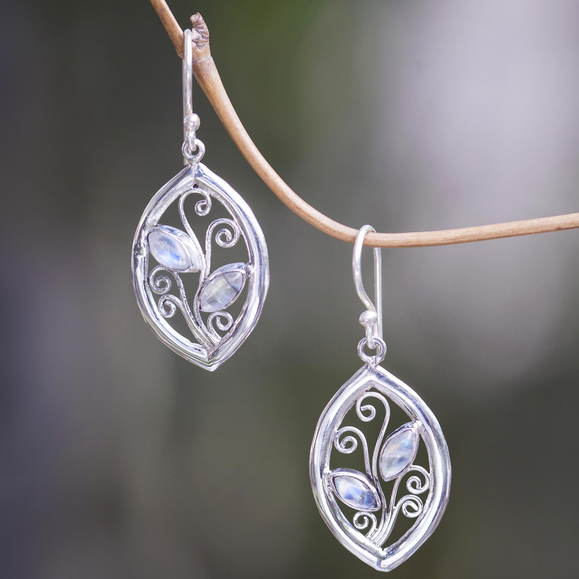 Premium Paradise Leaves 925 Sterling Silver Earrings with Rainbow Moonstone – Ultimate Nature-Inspired Elegance