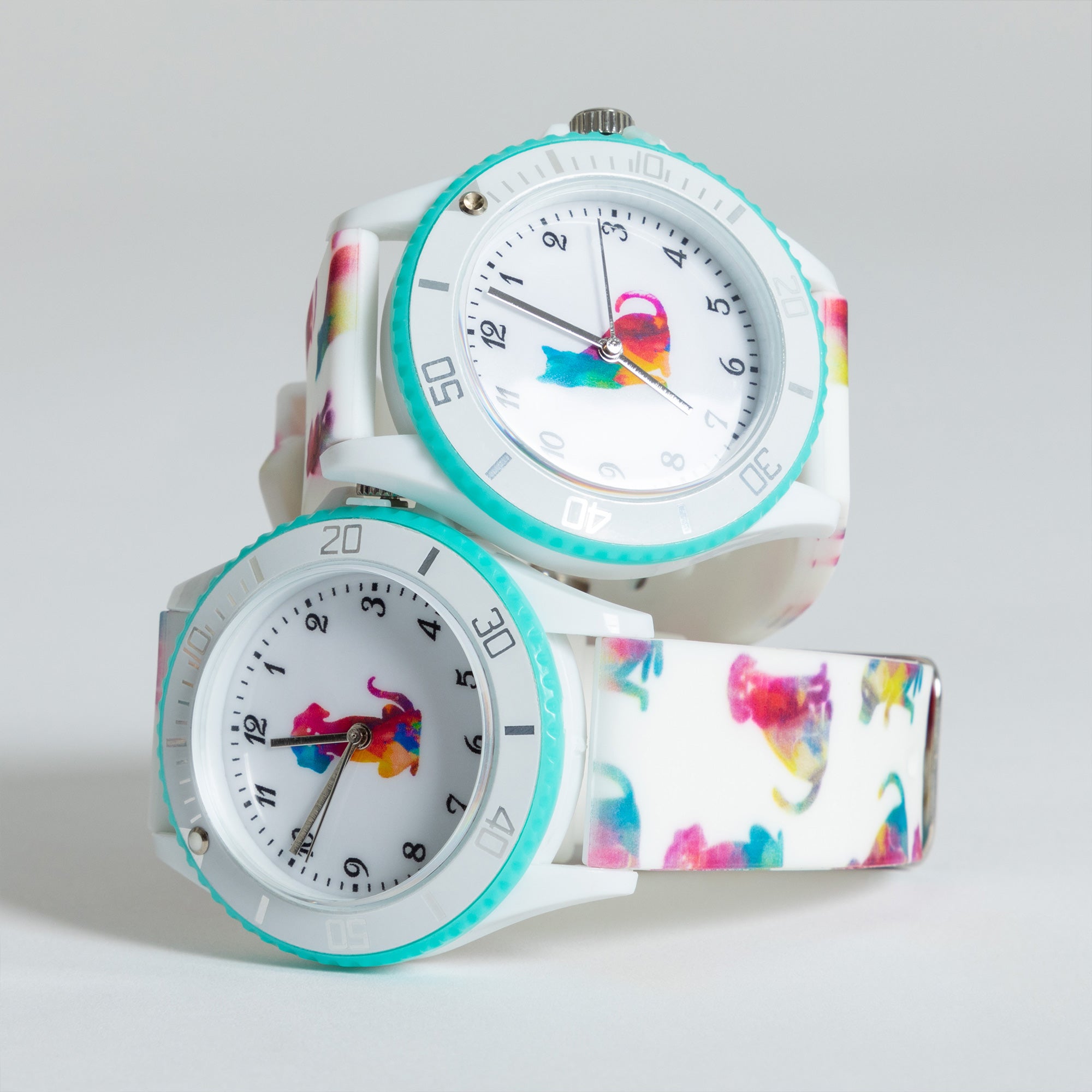 Premium Pet Lover's Watch - Rainbow Silicone Strap