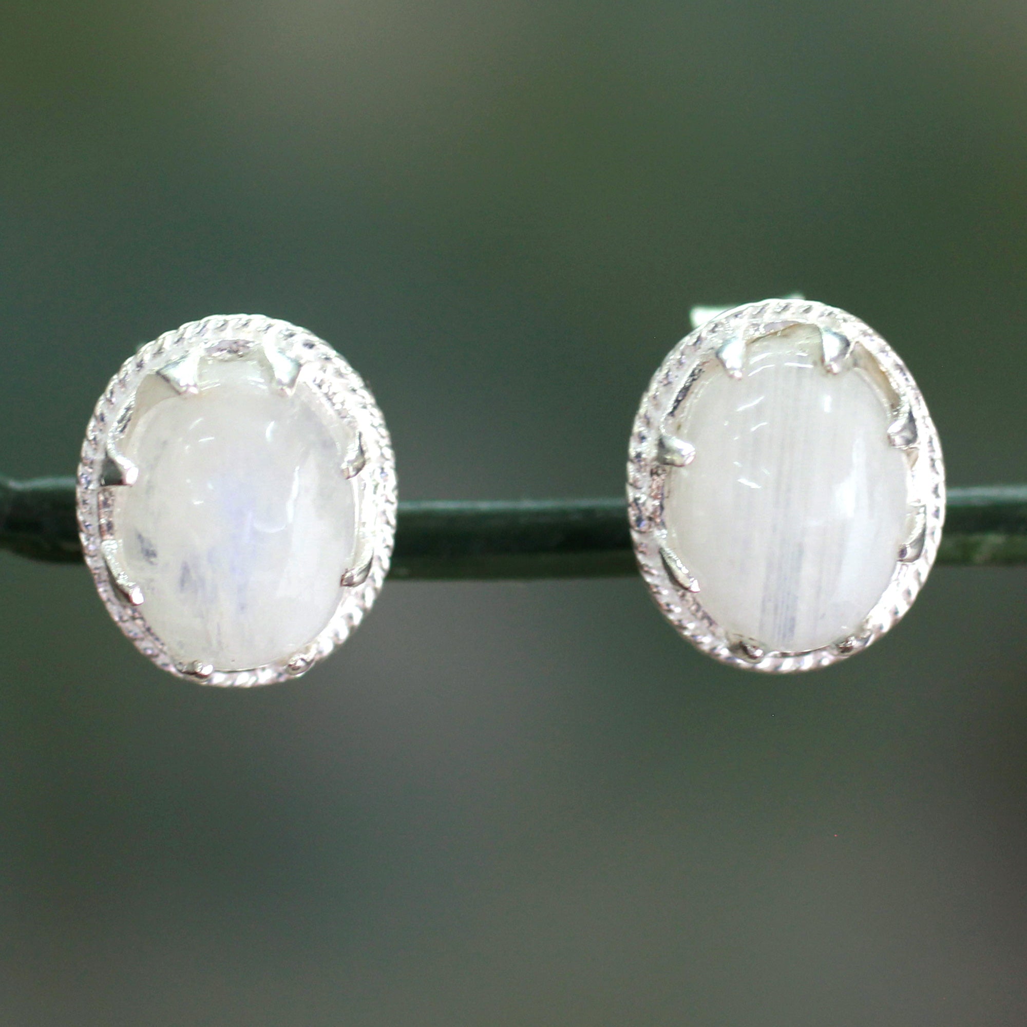 Premium Morning Frost Moonstone Earrings - Silver Button Design